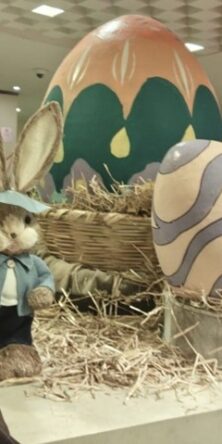 Letra Franca México